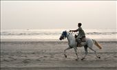 At dusk, a horse rider is seen galloping by the sea.
This moment is forever etched in my memory as it reminded me of the carefree days of my childhood. This young man  seemed to embody that freedom as he rode oblivious to the buzz of the city and its citizens. He seemed so free with each stride striking a musical note to one's ears. It was almost poetic...: by iamrahma, Views[965]