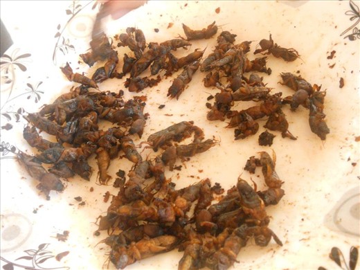 Nueva Ecija's exotic food called 