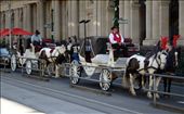 Calesa. Spanish term referring to a horse-drawn carriage. | Melbourne, Australia: by iamsuperman, Views[1325]