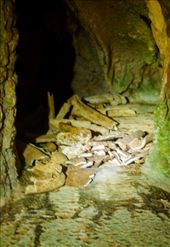 by iamtaipan1979, Views[228]