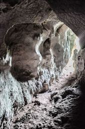 by iamtaipan1979, Views[369]