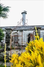 by iamtaipan1979, Views[285]