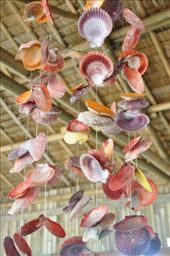 by iamtaipan1979, Views[315]