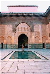 by iamypaterson, Views[115]