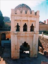 by iamypaterson, Views[110]