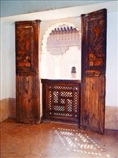 by iamypaterson, Views[112]