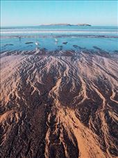 by iamypaterson, Views[192]