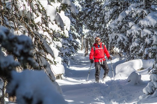 Josh and I quickly learned improper snowshoes leads to post-holing through snow.