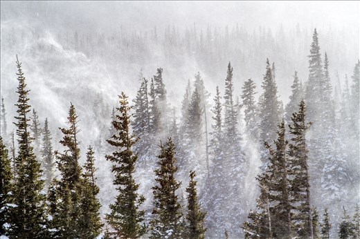 Early November's polar vortex lead to immense wind and chilling temperatures.