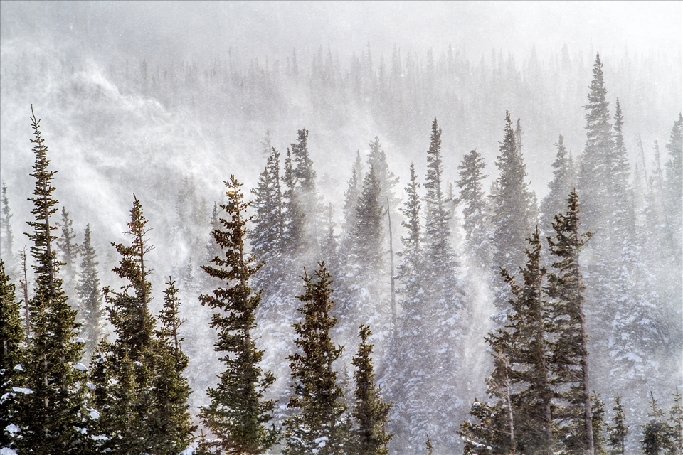Early November's polar vortex lead to immense wind and chilling temperatures.