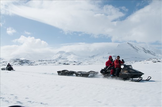 There goes the gear....