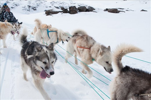 Henning's team running by.