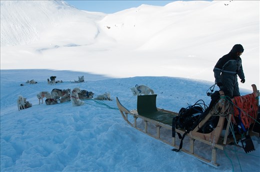 Loading the sleds to head to the dive site.