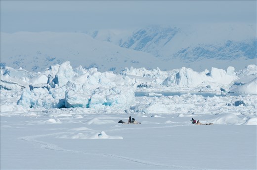 Milling about on the ice.