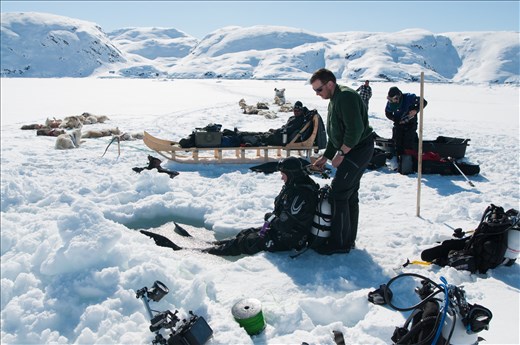 Thomas, on his way in for a dive.