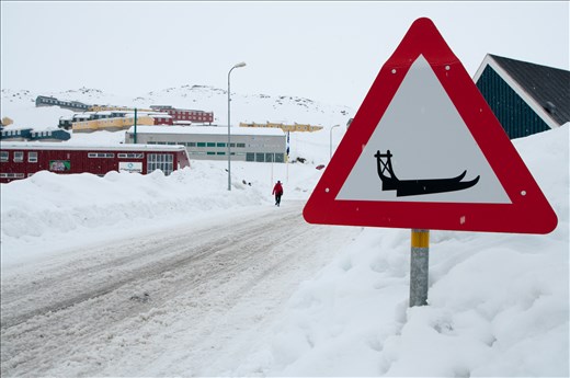 Sled crossing in Tasiilaq.