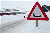 Sled crossing in Tasiilaq.: by iano, Views[206]