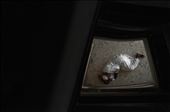 An old Nubian passer-by rests from the heat of the sun of a hot summer day by putting his head on his shoes and taking a little nap on the floor of the stairwell of a total strangers’ house without asking it’s owners for permission to do so.: by ibrahimshawkey, Views[417]