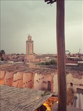 by ibuaro, Views[944]