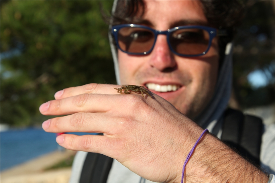 Microcosm. The island as a microsystem, a microsytem as the island.