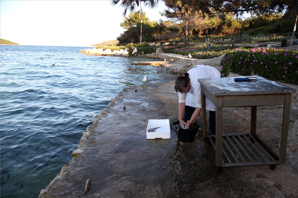 Fatigue. The hard works, and the pleasure of results, the pleasure of effort.