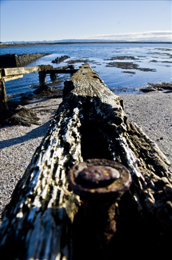 The colors of a freezing sea in a wonderful middle morning.