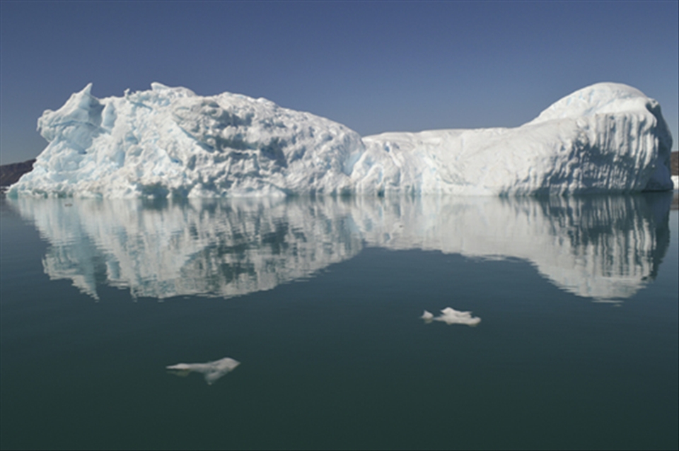 Alive strange and beautiful forms .