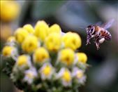 On the go in London : by icreatelife2014, Views[238]