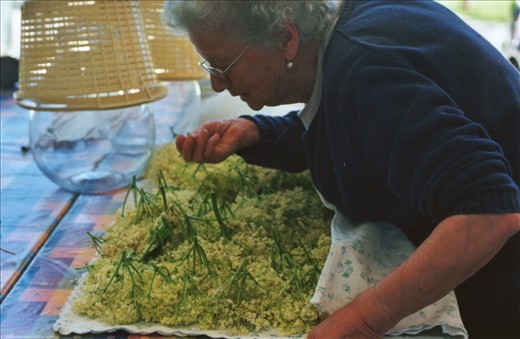 such a sweet scent all over the working table