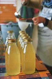 by idiaridellalambretta, Views[426]