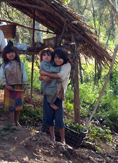 Guaraní take from nature what it provides them with: shelter,food, medicine
