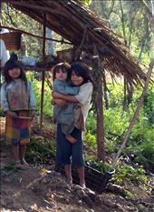 Guaraní take from nature what it provides them with: shelter,food, medicine: by igorkolar, Views[459]