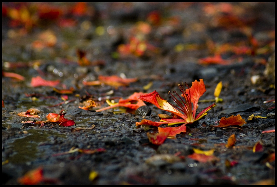 After effects of rains.