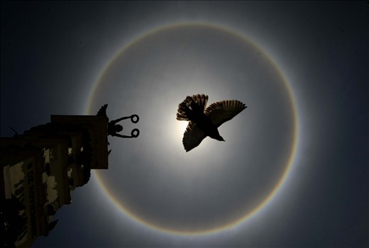 
A Solar halo is formed on the Statue of Liberty in San Salvador, El Salvador, CA