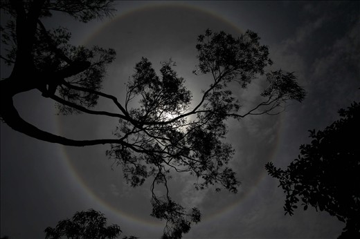 hundreds of people observe a solar Halo is formed by the ice paticulas admosfera