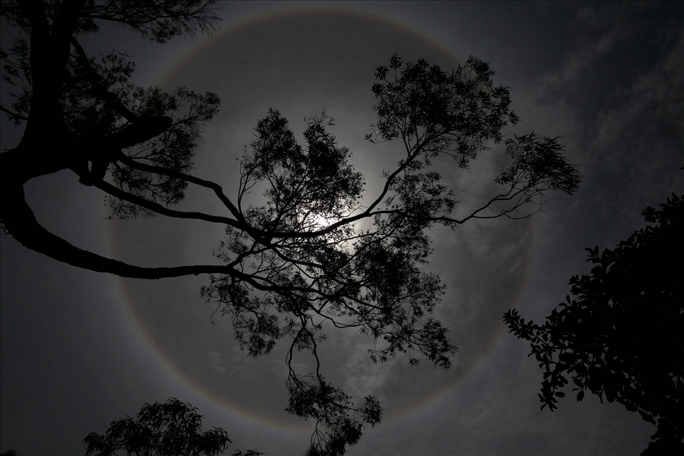 hundreds of people observe a solar Halo is formed by the ice paticulas admosfera