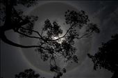 hundreds of people observe a solar Halo is formed by the ice paticulas admosfera: by imagenes, Views[424]