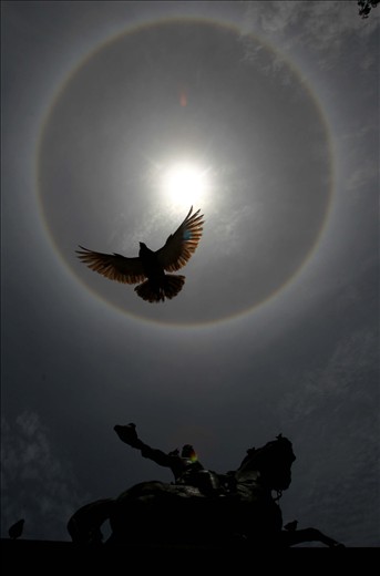 This phenomenon is highly anticipated by farmers