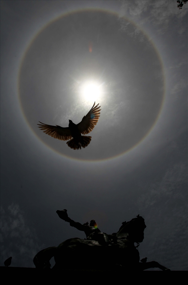 This phenomenon is highly anticipated by farmers