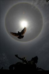 This phenomenon is highly anticipated by farmers: by imagenes, Views[412]