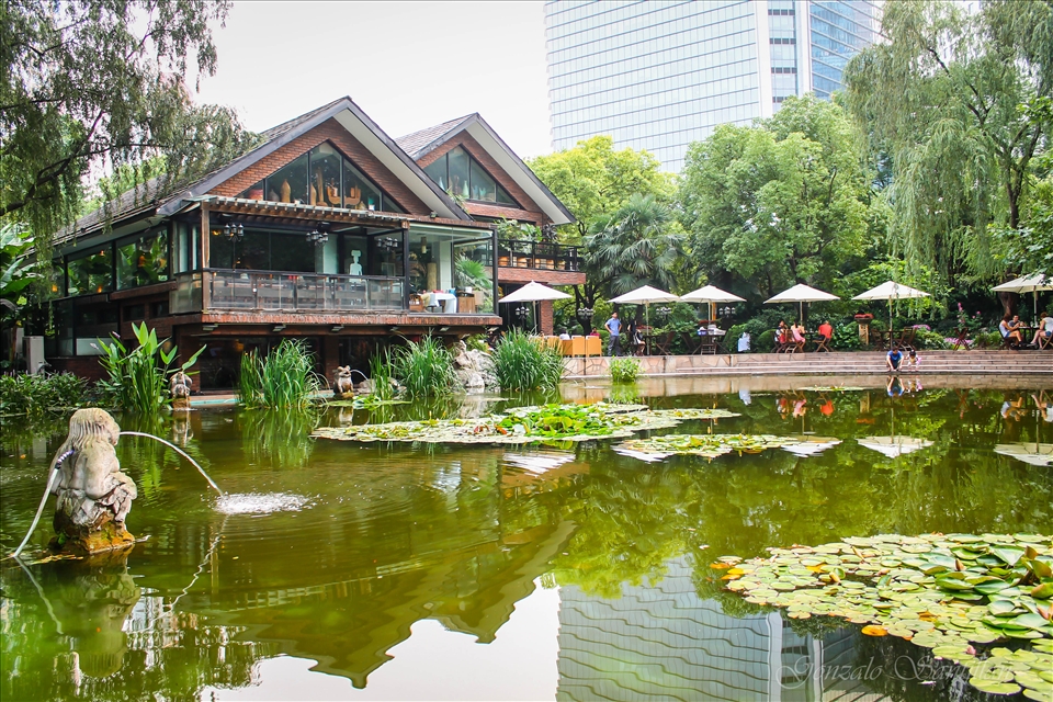 Gardens in Shanghai, where people walk to get some peace