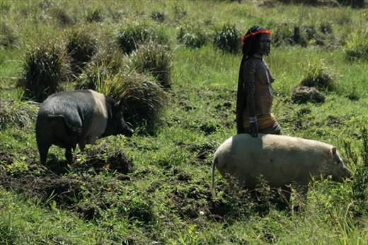 Nature is a best friend for Papua people where they take advantages each other