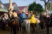 Outside tends, feria doesn’t stop, the atmosphere is engaging, music of Sevilliana vibrate in all the streets.
Los Caballeros and their mates with colourful dresses parade on horses from tend to tend.: by imbez, Views[684]