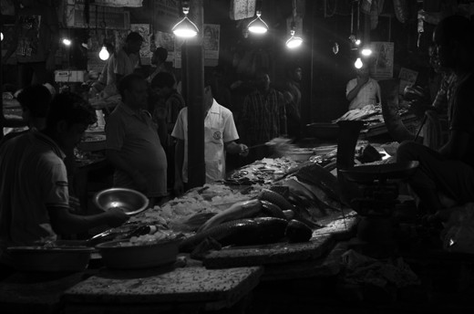 Way Of life - The Wait