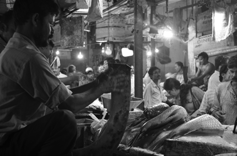 Way Of life - Slicing though