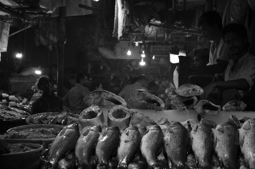 Way Of life - Im Almost Done