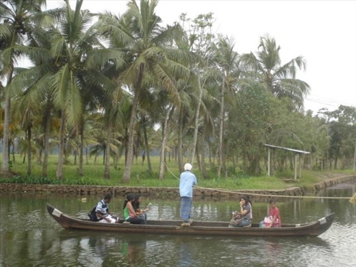 For those who may think using ropeways as a tool of transportation is passé, a visit to the backwaters in Kerala is a must. For the local fisher folk and caretakers of paddy fields who reside in shanties along the backwaters, using ropeways and canoes to travel is a way of life