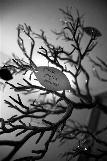 A closer view of the secret prayers on the Chapel's prayer tree