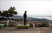 The view of Oshima island from its highest point at the top of Turtle Mountain (Kame-yama).  At the time of the tsunami Murakami-san was visiting Kesennuma and for five days he took shelter in an  abandoned house there before finally returning to find his house destroyed and grandma missing.  Immediately after the disaster he and his fellow volunteer fire-fighters were active in helping with rescues and putting out the fires that were spreading from burning chemical plants in nearby Kesennuma.  : by inaka, Views[474]