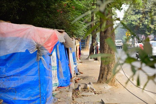 Rain, thunder- no wonder what nature surprises them with, they prolong life.